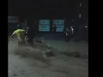 SDRF personnel rescue people in rain-hit Dehradun on Tuesday night. SDRF personnel rescue people in rain-hit Dehradun on Tuesday night.