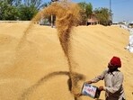 The Standing Committee suggested the Food Security of India (FSI) come up with new standards, guidelines and checklists to mitigate the transit and pilferage losses of foodgrains. (File photo)