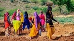 Women labourers work at a site under the Mahatma Gandhi National Rural Employment Guarantee Act, Ajmer, 2020 (PTI) Women labourers work at a site under the Mahatma Gandhi National Rural Employment Guarantee Act, Ajmer, 2020 (PTI)