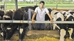 Milk production is rooted in animal husbandry, and rearing of cattle, buffalos and goats is a major source of one extremely potent greenhouse gas, namely methane. Milk production is rooted in animal husbandry, and rearing of cattle, buffalos and goats is a major source of one extremely potent greenhouse gas, namely methane.