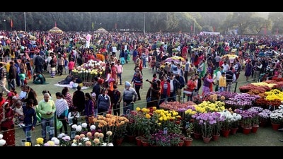 The Chrysanthemum show is held every year at the Terraced Garden in Sector 33, but was cancelled last year due to the pandemic. (HT File)