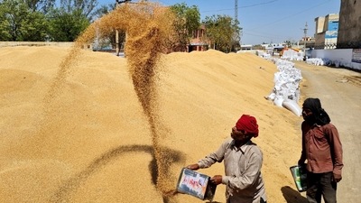 The Standing Committee suggested the Food Security of India (FSI) come up with new standards, guidelines and checklists to mitigate the transit and pilferage losses of foodgrains. (File photo) The Standing Committee suggested the Food Security of India (FSI) come up with new standards, guidelines and checklists to mitigate the transit and pilferage losses of foodgrains. (File photo)