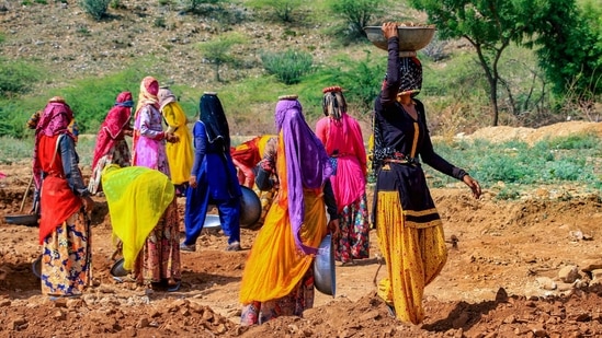 Women labourers work at a site under the Mahatma Gandhi National Rural Employment Guarantee Act, Ajmer, 2020 (PTI)