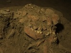 According to the study, the hunter-gather teen is the first known skeleton from an early foraging culture called the Toaleans.(University of Hasanuddin)