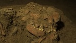 According to the study, the hunter-gather teen is the first known skeleton from an early foraging culture called the Toaleans.(University of Hasanuddin) According to the study, the hunter-gather teen is the first known skeleton from an early foraging culture called the Toaleans.(University of Hasanuddin)