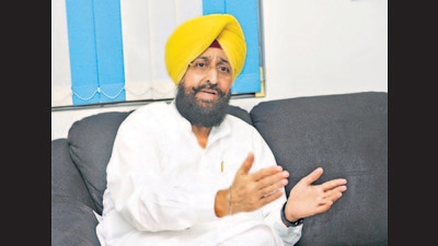 Congress MP in Rajya Sabha Partap Singh Bajwa. (Keshav Singh/HT) Congress MP in Rajya Sabha Partap Singh Bajwa. (Keshav Singh/HT)