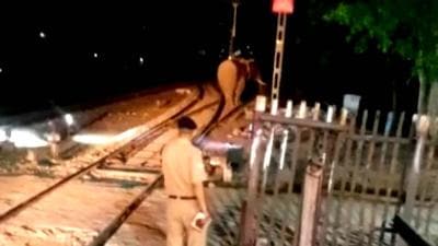 An elephant being shooed away towards forest from railway track of railway station in Haridwar in March this year. (HT file photo)