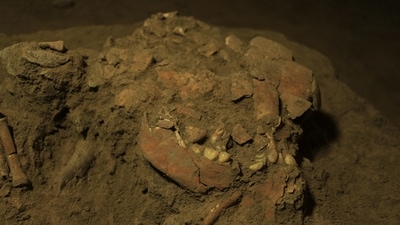 According to the study, the hunter-gather teen is the first known skeleton from an early foraging culture called the Toaleans. (University of Hasanuddin)