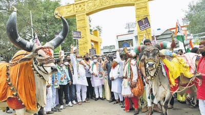 The NCP staged a protest at Pimpri chowk on Wednesday, accusing the ruling BJP of corruption in the Pimpri Chinchwad Municipal Corporation. (HT PHOTO)