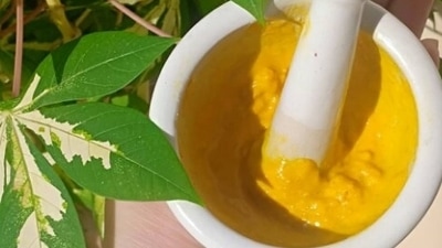Gram flour and turmeric: This is the golden combination when it comes to improve the texture of skin and removing tan. Take two spoons of gram flour, add a pinch of turmeric to it and few drops of lemon juice and milk. Apply on skin and let it dry before washing. This pack will not only lighten your skin but also act as an anti-aging agent. (Instagram) Gram flour and turmeric: This is the golden combination when it comes to improve the texture of skin and removing tan. Take two spoons of gram flour, add a pinch of turmeric to it and few drops of lemon juice and milk. Apply on skin and let it dry before washing. This pack will not only lighten your skin but also act as an anti-aging agent. (Instagram)