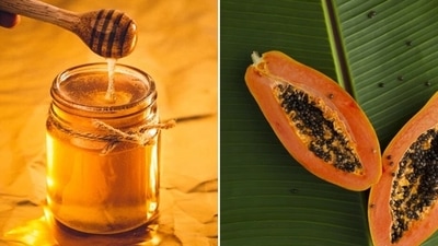 Honey-papaya pack: The papain enzyme in papaya will lighten the skin and remove tan. Mash some papaya and add some honey and make a smooth paste. Apply on face and other tanned skin areas and let it dry before washing. (Unsplash) Honey-papaya pack: The papain enzyme in papaya will lighten the skin and remove tan. Mash some papaya and add some honey and make a smooth paste. Apply on face and other tanned skin areas and let it dry before washing. (Unsplash)