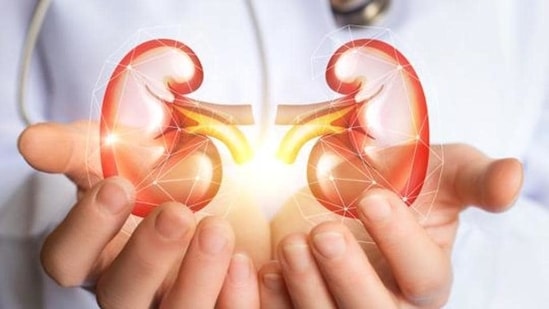 When the kidney is not alright, it sends a few physical signs but many a time, these signs are confused with other health conditions. It is important to be watchful of these symptoms and get immediate help. Here are a few early signs that indicate if a person may have ongoing kidney disease or a kidney infection.(Getty Images/iStockphoto)