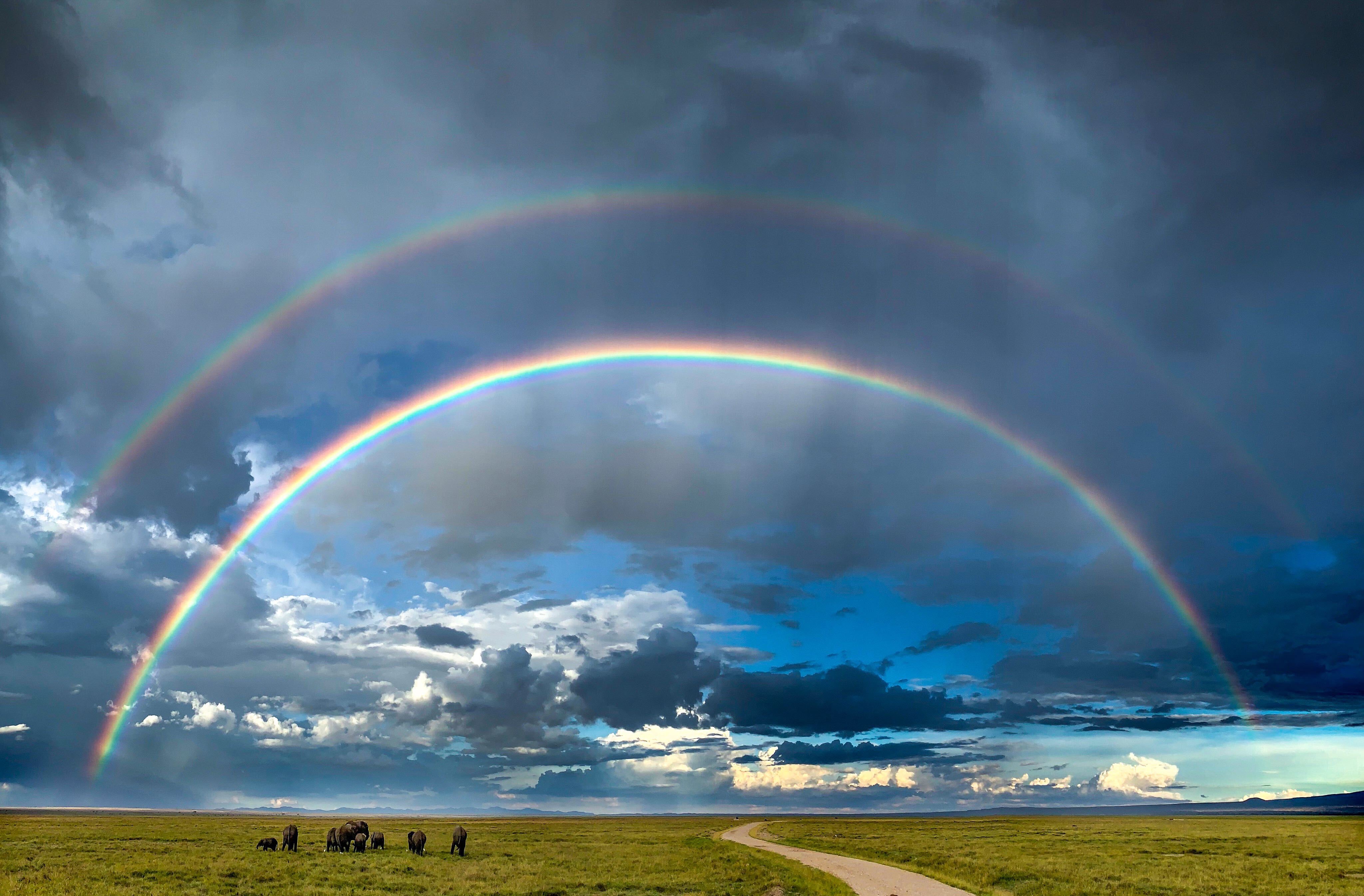 Aditya se souvient de ce moment rare capturé dans le parc national d'Amboseli (Kenya) lorsque des doubles arcs-en-ciel sont apparus dans le ciel après de fortes pluies continues (Photo : Varun Aditya) Aditya se souvient de ce moment rare capturé dans le parc national d'Amboseli (Kenya) lorsque des doubles arcs-en-ciel sont apparus dans le ciel après de fortes pluies continues (Photo : Varun Aditya)