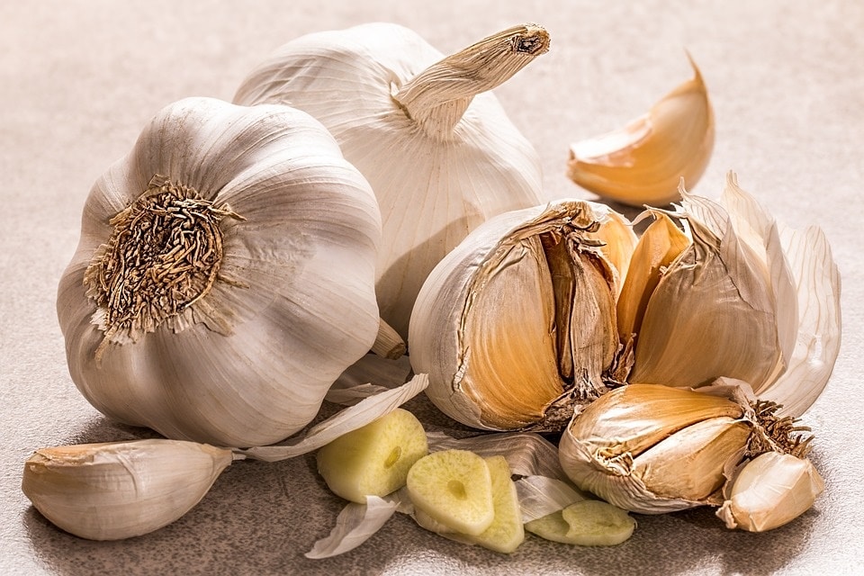 Garlic(Pixabay)