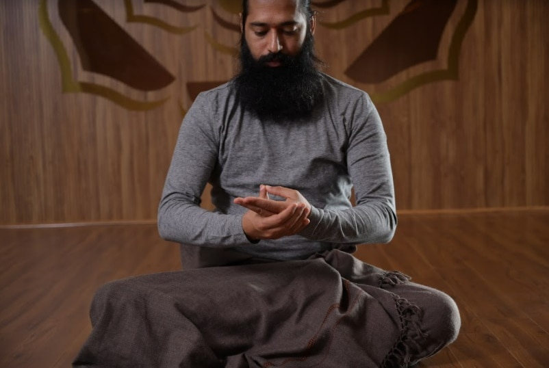 Makara Mudra(Grand Master Akshar) Makara Mudra(Grand Master Akshar)