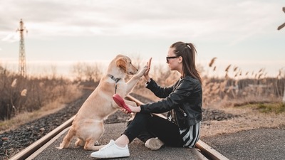 Dog owners or dog lovers are drawn to certain breeds that share their personality traits, mimic their temperament or share the same characteristics, which is why dogs are considered as our best friends. However, you'd be lying if you said that you love all breeds of dogs equally. Check out the list below to know more about your personality based on your favourite canine breed. (Photo by Richard Brutyo on Unsplash) Dog owners or dog lovers are drawn to certain breeds that share their personality traits, mimic their temperament or share the same characteristics, which is why dogs are considered as our best friends. However, you'd be lying if you said that you love all breeds of dogs equally. Check out the list below to know more about your personality based on your favourite canine breed. (Photo by Richard Brutyo on Unsplash)