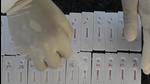 A health worker arranges swab samples for the Covid-19 testing in Mumbai on Saturday. (PTI) A health worker arranges swab samples for the Covid-19 testing in Mumbai on Saturday. (PTI)