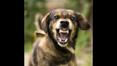 While one is critical, three others have got minor injuries. (Getty Images/iStockphoto)