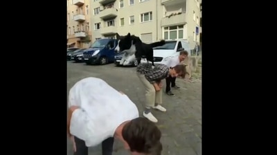 The image shows the doggo jumping over humans. (Reddit)