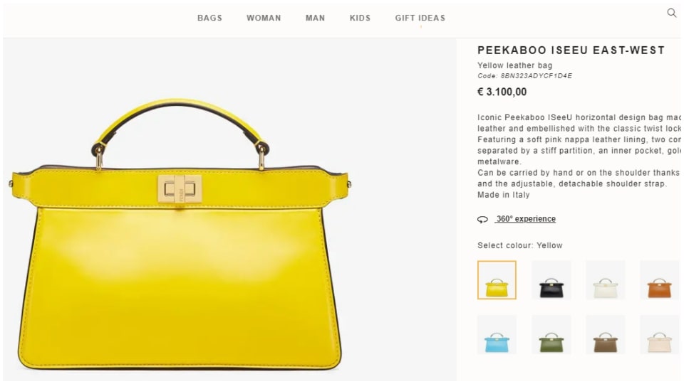 Nora Fatehis Designer Bags And Their Costs