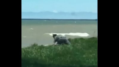 The image taken from the video shows the man saving the dog. (Reddit/@AwfulFrank)