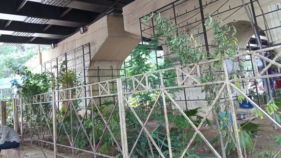 Officials said the space below the flyover was initially given a makeover in 2017 -- on the intervention of the Lieutenant Governor -- as part of a scheme to improve the aesthetics of vacant spaces under 12 flyovers and reclaim them from encroachers.(HT Photo)