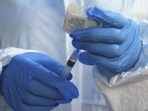 The West Nile Virus (WNV) disease spreads from birds to humans with the bite of an infected Culex mosquito. The West Nile Virus (WNV) disease spreads from birds to humans with the bite of an infected Culex mosquito.