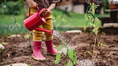 This project uses drones to disperse seed balls over thin, barren and empty forest lands to turn them into lush green abode of trees. This project uses drones to disperse seed balls over thin, barren and empty forest lands to turn them into lush green abode of trees.