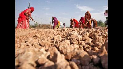 Nearly two-thirds of the respondents interviewed in the study demanded that the government should roll out financial assistance schemes for them. Nearly two-thirds of the respondents interviewed in the study demanded that the government should roll out financial assistance schemes for them.