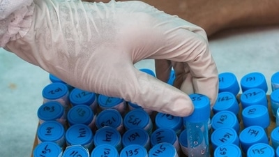 'C.1.2': New variant of Sars-CoV-2 detected in South Africa, researchers say (Representative Omage)
