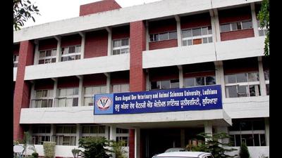 Guru Angad Dev Veterinary and Animal Sciences University in Ludhiana. (HT Photo) Guru Angad Dev Veterinary and Animal Sciences University in Ludhiana. (HT Photo)