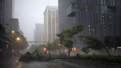 Trees sway in the wind from Hurricane Ida in downtown New Orleans, Louisiana, on August 29. Ida made landfall amid the final stretch of what’s been a summer of extreme weather in the US and around the globe. Six tropical cyclones have now struck the US, and the high in Portland, Oregon, hit an unthinkable 116 degrees in June, Bloomberg reported. (Luke Sharrett / Bloomberg) Trees sway in the wind from Hurricane Ida in downtown New Orleans, Louisiana, on August 29. Ida made landfall amid the final stretch of what’s been a summer of extreme weather in the US and around the globe. Six tropical cyclones have now struck the US, and the high in Portland, Oregon, hit an unthinkable 116 degrees in June, Bloomberg reported. (Luke Sharrett / Bloomberg)