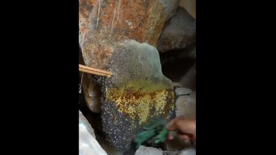 The video shows the process of honey extraction. (Screengrab)