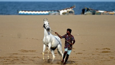 The decision to restrict the entry of people to beaches in Tamil Nadu on Sundays came after visuals of hundreds of people thronging the popular spots, violating Covid-19 protocol, went viral on social media. (PTI)