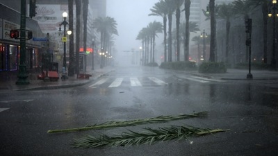 Palm tree debris on the street during the Hurricane Ida in New Orleans, Louisiana, US. (Bloomberg) Palm tree debris on the street during the Hurricane Ida in New Orleans, Louisiana, US. (Bloomberg)