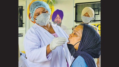 A health worker collecting swab samples near Sarabha Nagar Market in Ludhiana on Monday. (HT photo)