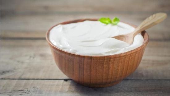 A powerhouse of probiotics, yogurt is one of the most crucial food items when it comes to improving gut health. (Photo: Shutterstock)