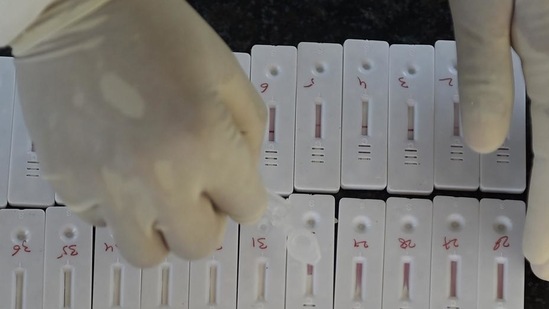 A health worker arranges swab samples for the Covid-19 testing in Mumbai. (PTI File Photo)