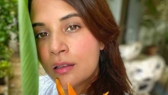 Richa Chadha will be seen next in Fukrey 3.