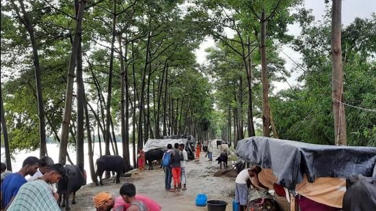 Around 200 people shifted to safer places each in Baikunthpur and Sidhawaliya. (Jai Prakash/HT Photo)