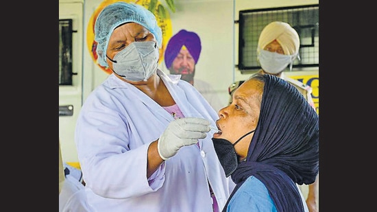 A health worker collecting swab samples near Sarabha Nagar Market in Ludhiana on Monday. (HT photo)
