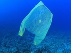 Ganges and Mekong river basins together contribute an estimated 200,000 tonnes of plastic pollution to the Indian Ocean and the Pacific Ocean every year.(Wikimedia Commons)