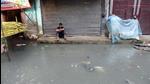 Municipal officers have been reporting uncontrolled breeding of mosquitoes in several areas with short and intense spells of rain causing heavy waterlogging across the city. (Raj K Raj / Hindustan Times) Municipal officers have been reporting uncontrolled breeding of mosquitoes in several areas with short and intense spells of rain causing heavy waterlogging across the city. (Raj K Raj / Hindustan Times)