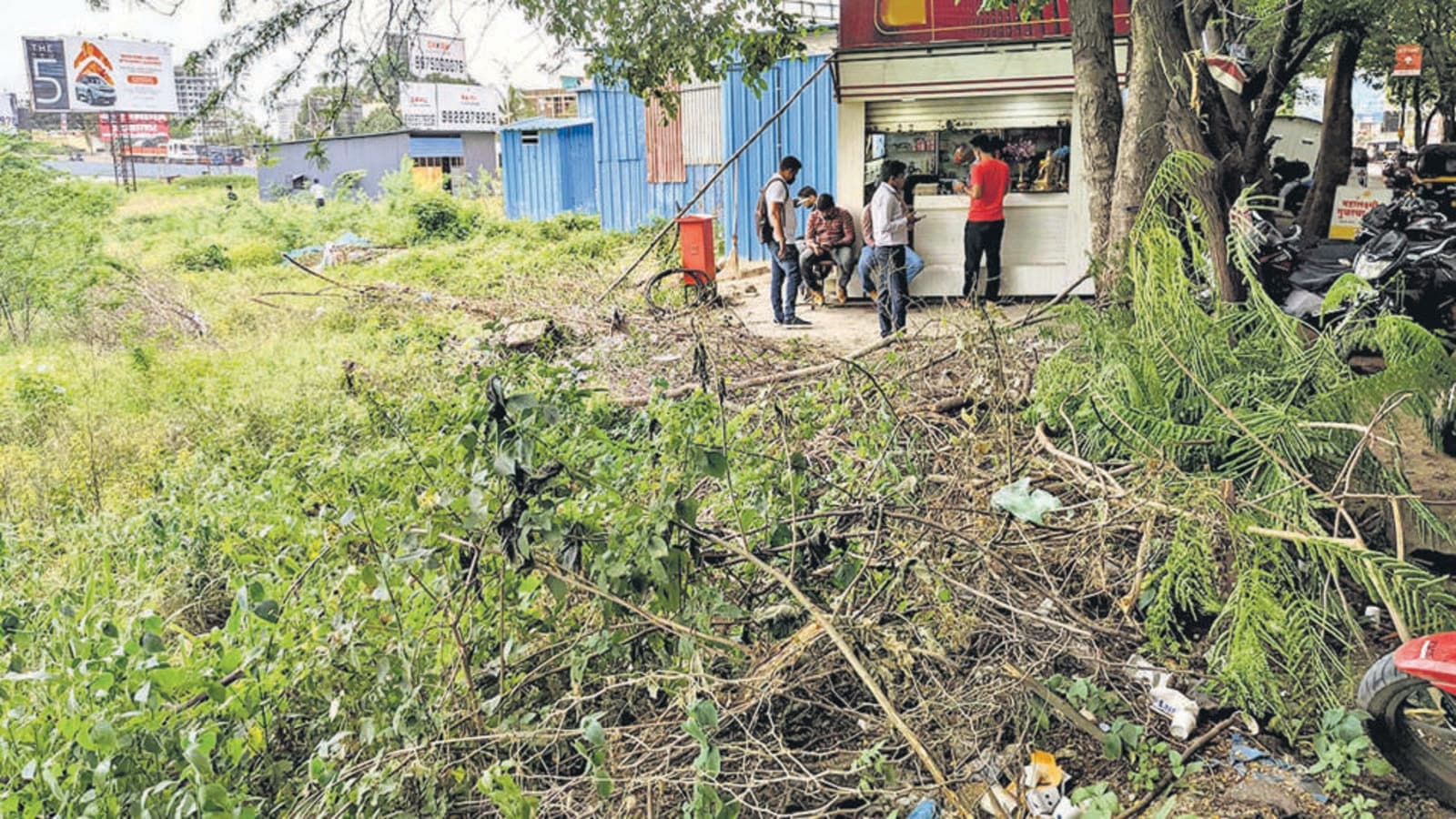 Pune residents see red over trimmed branches strewn on footpaths, roads