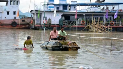 Nearly 40,000 hectares of crop area have also been affected due to inundation in the affected districts. (ANI) Nearly 40,000 hectares of crop area have also been affected due to inundation in the affected districts. (ANI)