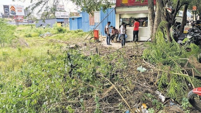 Trees trimmed at Kirtane baug,Magarpatta in Pune over the footpath and road on Monday. (SHANKAR NARAYAN/HT) Trees trimmed at Kirtane baug,Magarpatta in Pune over the footpath and road on Monday. (SHANKAR NARAYAN/HT)