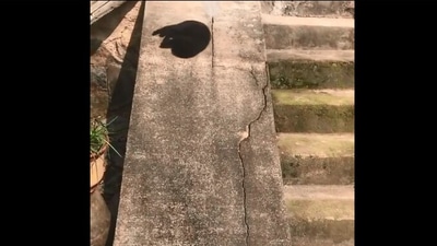 The image shows the cat sliding down a slope. (Reddit/@jacobyh7)