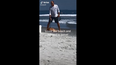 The image shows the dog lying on the beach. (Screengrab)
