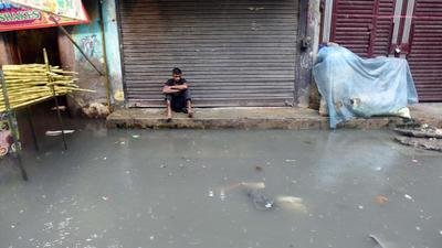 Municipal officers have been reporting uncontrolled breeding of mosquitoes in several areas with short and intense spells of rain causing heavy waterlogging across the city. (Raj K Raj / Hindustan Times) Municipal officers have been reporting uncontrolled breeding of mosquitoes in several areas with short and intense spells of rain causing heavy waterlogging across the city. (Raj K Raj / Hindustan Times)