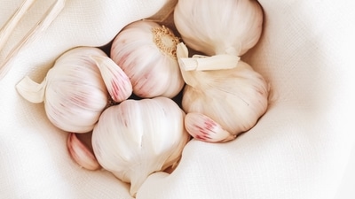 Contains medicinal properties: Garlic is closely related to onions, shallots and leeks. This ingredient has been used to treat diseases since ancient times not just by Indians but also by the Greeks, Romans and Chinese. (Unsplash)